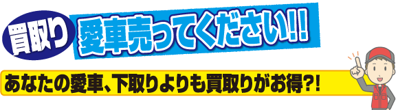 買取り・愛車売ってください!!