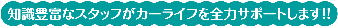 知識豊富なスタッフがカーライフを全力サポートします!!